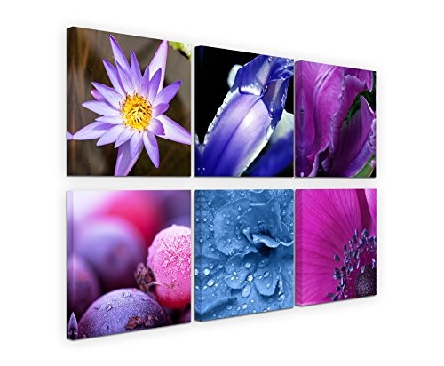 Paul Sinus Art 6 Teiliges Leinwandbild je 40x40cm - Blumen Wassertropfen Makroaufnahme Violett