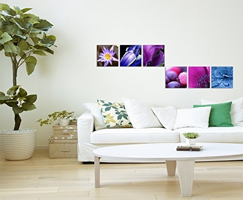Paul Sinus Art 6 Teiliges Leinwandbild je 40x40cm - Blumen Wassertropfen Makroaufnahme Violett