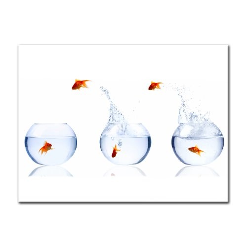 Wandbild - Fischolympiade - Bild auf Leinwand - 80 x 60 cm 1 teilig - Leinwandbilder - Bilder als Leinwanddruck - Tierwelten - Goldfische im Glas