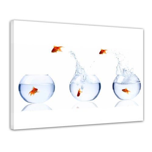 Wandbild - Fischolympiade - Bild auf Leinwand - 80 x 60 cm 1 teilig - Leinwandbilder - Bilder als Leinwanddruck - Tierwelten - Goldfische im Glas