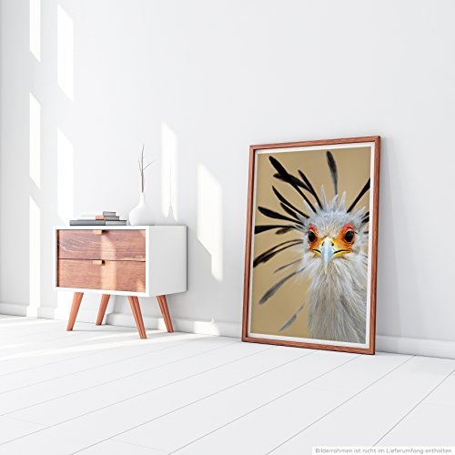 Sinus Art Kunst Leinwandbild - Tierfotografie - Witziger Vogel- Fotodruck in gestochen scharfer Qualität