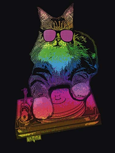 Artland Qualitätsbilder I Bild auf Leinwand Leinwandbilder Wandbilder 45x60 cm Tiere Humor Digitale Kunst Bunt E3XH Witzige DJ Katze Party Musik und Haustiere