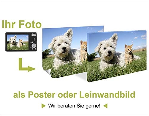 Artland Qualitätsbilder I Bild auf Leinwand Leinwandbilder Wandbilder 60x80 cm Tiere Humor Digitale Kunst Schwarz E3WD Niedliches Bild mit witzigem Spruch für Mops-Besitzer