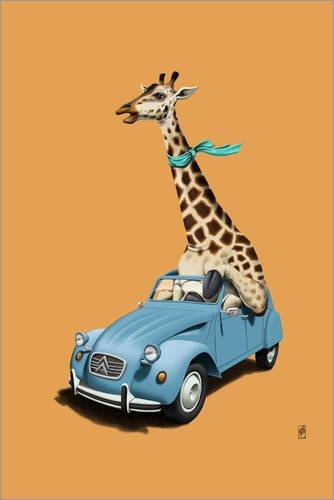 Posterlounge Leinwandbild 120 x 180 cm: Riding High! (Colour) von Rob Snow - fertiges Wandbild, Bild auf Keilrahmen, Fertigbild auf echter Leinwand, Leinwanddruck