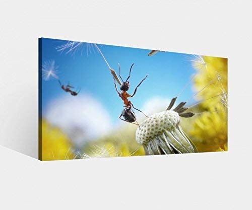 Leinwandbild Ameisen Fliegen Pusteblume Insekten Blume Leinwand Bild Bilder Wandbild Holz Leinwandbilder vom Hersteller 9W819, Leinwand Größe 1:60x30cm