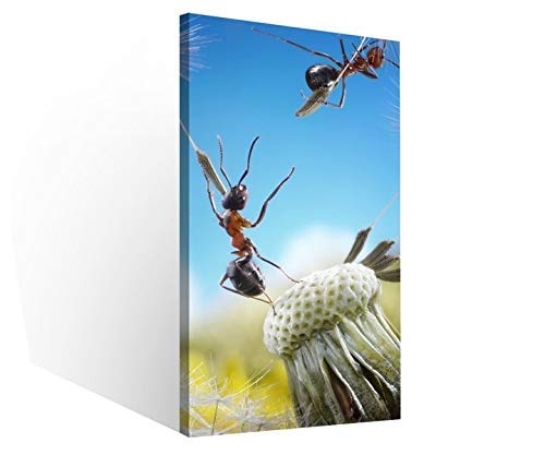 Leinwandbilder 1Tlg Ameisen Fliegen Pusteblume Insekten Blume Leinwandbild Kunstdruck Wand Bilder Vlies Wandbild Leinwand Bild Druck 9W1626, Canvas BxH 1tlg:40x80cm