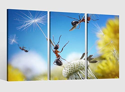 Leinwandbild 3 tlg Ameisen Fliegen Pusteblume Insekten Blume Bild Leinwand Leinwandbilder Tierwelt Wandbild 9AB1742, 3 tlg BxH:90x60cm (3Stk 30x 60cm)