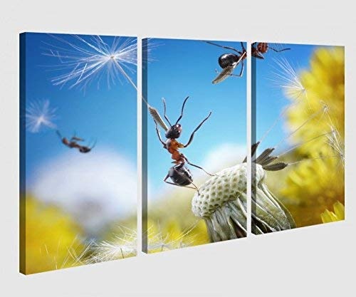 Leinwandbild 3 tlg Ameisen Fliegen Pusteblume Insekten Blume Bild Bilder Leinwand Leinwandbilder Holz Wandbild mehrteilig 9W011, 3 tlg BxH:120x80cm (3Stk 40x 80cm)