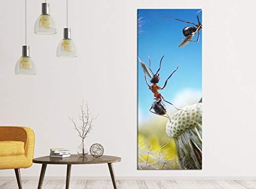 Leinwandbilder 1Tlg 40x100cm Ameisen Fliegen Pusteblume Insekten Blume Leinwandbild Kunstdruck Wand Bilder Vlies Wandbild Leinwand Bild Druck 9ZA064, Leinwandbild Gr. 1:40cmx100cm