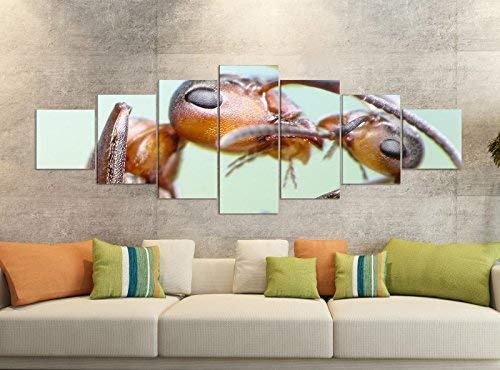 Leinwandbild 7 Tlg 280x100cm Ameise Mutter Insekt Ameisen Liebe Leinwand Bilder Teile teilig Kunstdruck Druck Vlies Wandbild mehrteilig 9YB017, Leinwandbild 7 Tlg:ca. 280cmx100cm