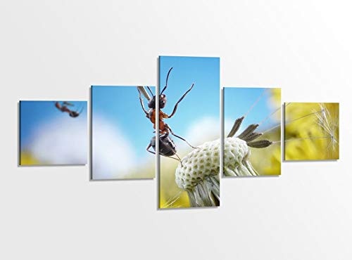 Leinwandbild 5 tlg. 200x100cm Ameisen Fliegen Pusteblume Insekten Blume Tierwelt Bilder Druck auf Leinwand Bild Kunstdruck mehrteilig Holz gerahmt 9AB1216