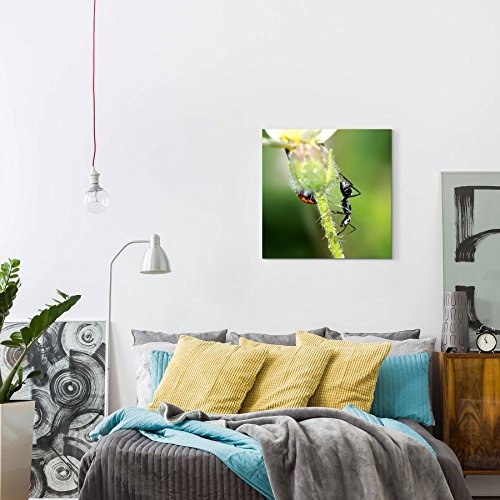 Paul Sinus Art Leinwandbilder | Bilder Leinwand 60x60cm Ameise und Käfer auf Einer Blume