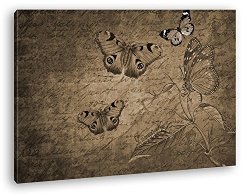 deyoli Briefpapier mit Schmetterlingen Format: 120x80 Effekt: Sepia als Leinwandbild, Motiv fertig gerahmt auf Echtholzrahmen, Hochwertiger Digitaldruck mit Rahmen, Kein Poster oder Plakat