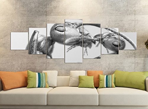 Leinwandbilder 7 Tlg 280x100cm schwarz Ameise Mutter Insekt Ameisen Liebe Leinwand Bild Teile teilig Kunstdruck Druck Wandbild mehrteilig 9YB1787, Leinwandbild 7 Tlg:ca. 280cmx100cm