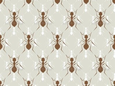 Leinwand-Bild 120 x 80 cm: "Ameisen", Bild auf...
