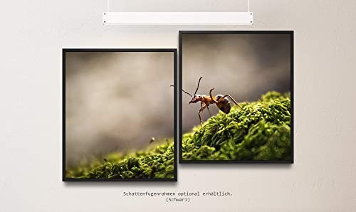 Paul Sinus Art Wald mit Ameise 130 x 90 cm (2 Bilder ca....