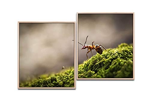 Paul Sinus Art Wald mit Ameise 130 x 90 cm (2 Bilder ca. 75x65cm) Leinwandbilder fertig im Schattenfugenrahmen Natur Kunstdruck XXL modern