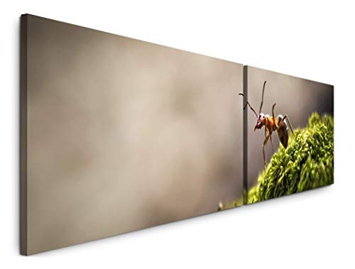Paul Sinus Art Wald mit Ameise 180x50cm - 2 Wandbilder je...