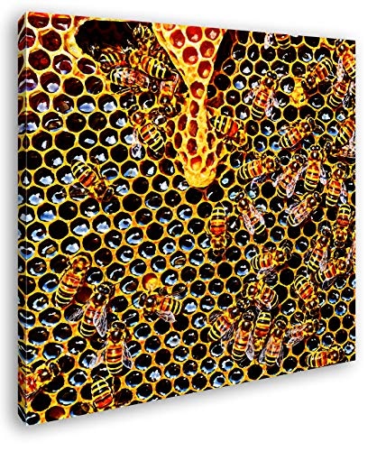 deyoli Honigwabe mit Bienen im Format: 60x60 Effekt:...
