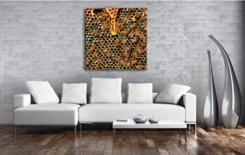 deyoli Honigwabe mit Bienen im Format: 60x60 Effekt: Zeichnung als Leinwandbild, Motiv auf Echtholzrahmen, Hochwertiger Digitaldruck mit Rahmen, Kein Poster oder Plakat