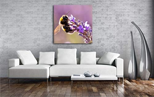 deyoli Hummel auf Einer Lavendel Blüte Format: 60x60...