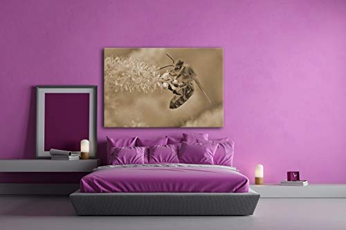 deyoli Bienenkönigin Format: 120x80 Effekt: Sepia als Leinwandbild, Motiv fertig gerahmt auf Echtholzrahmen, Hochwertiger Digitaldruck mit Rahmen, Kein Poster oder Plakat