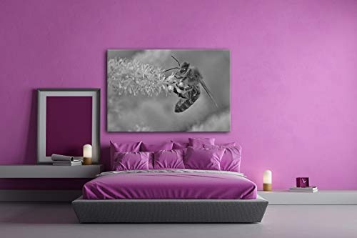 deyoli Bienenkönigin Format: 120x80 Effekt: Schwarz&Weiß als Leinwandbild, Motiv fertig gerahmt auf Echtholzrahmen, Hochwertiger Digitaldruck mit Rahmen, Kein Poster oder Plakat