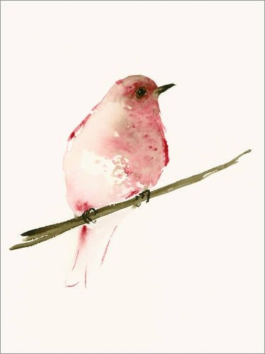Posterlounge Leinwandbild 30 x 40 cm: Himbeerroter Vogel von Dearpumpernickel - fertiges Wandbild, Bild auf Keilrahmen, Fertigbild auf echter Leinwand, Leinwanddruck