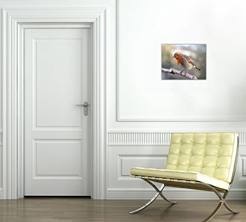 1art1 85651 Vögel - Rotkehlchen Auf Einem AST Poster Leinwandbild Auf Keilrahmen 50 x 40 cm