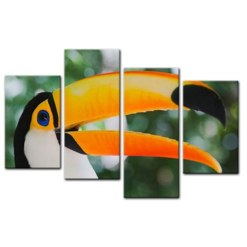 Wandbild - Toucan - Bild auf Leinwand - 120x80 cm 4 teilig - Leinwandbilder - Bilder als Leinwanddruck - Tierwelten - Vogel - Spechtvogel in Südamerika