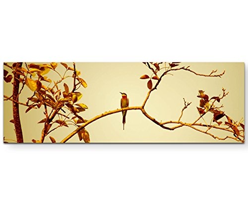 Leinwandbilder | Bilder Leinwand 120x40cm Vogel auf Einem AST Bei Sonnenuntergang