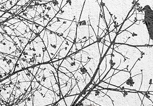 murando - Bilder Natur 20x30 cm Vlies Leinwandbild 1 TLG Kunstdruck modern Wandbilder Wanddekoration Design Wand Bild - Baum Vogel Beton b-C-0311-b-a