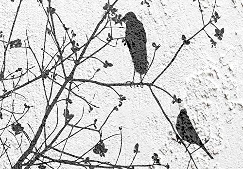 murando - Bilder Natur 20x30 cm Vlies Leinwandbild 1 TLG Kunstdruck modern Wandbilder Wanddekoration Design Wand Bild - Baum Vogel Beton b-C-0311-b-a