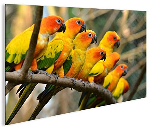 islandburner Bild Bilder auf Leinwand Papageien V2 Vögel Papagei 1K XXL Poster Leinwandbild Wandbild Dekoartikel Wohnzimmer Marke
