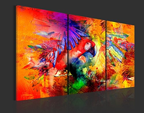 murando - Bilder 120x60 cm Vlies Leinwandbild 3 Teilig Kunstdruck modern Wandbilder XXL Wanddekoration Design Wand Bild - Vogel Papagei bunt g-B-0016-b-e
