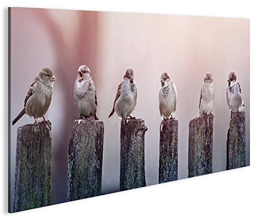 islandburner Bild Bilder auf Leinwand Birds Vögel Spatz auf Holzsteg 1K XXL Poster Leinwandbild Wandbild Dekoartikel Wohnzimmer Marke