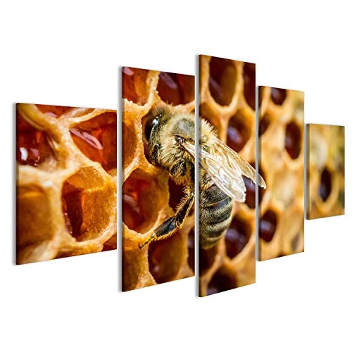 islandburner Bild Bilder auf Leinwand Bienen in Einem Bienenstock auf Bienenwabe Wandbild, Poster, Leinwandbild GRM