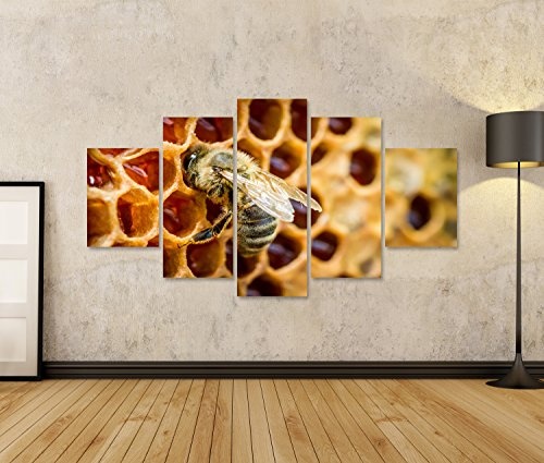 islandburner Bild Bilder auf Leinwand Bienen in Einem Bienenstock auf Bienenwabe Wandbild, Poster, Leinwandbild GRM