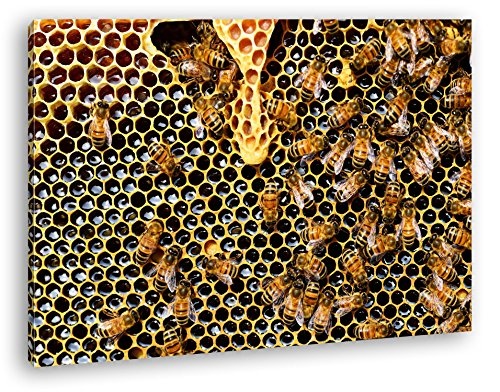 deyoli atemberaubende Honigwabe mit Bienen im Format: 120x80 als Leinwandbild, Motiv fertig gerahmt auf Echtholzrahmen, Hochwertiger Digitaldruck mit Rahmen, Kein Poster oder Plakat
