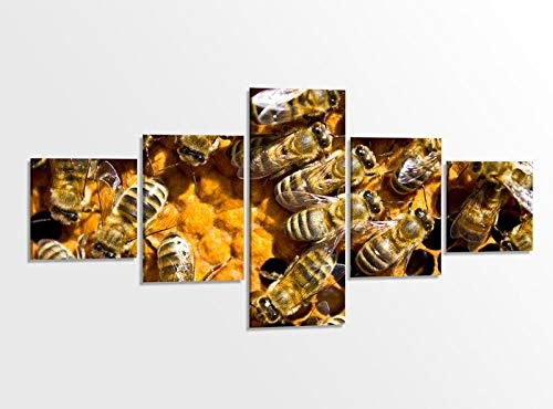 Leinwandbild 5 tlg. 200x100cm Biene Bienen Honig Bienenstock Schwarm Tierwelt Bilder Druck auf Leinwand Bild Kunstdruck mehrteilig Holz gerahmt 9AB1225