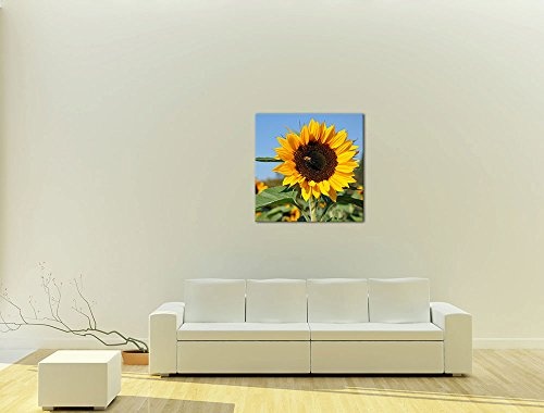 Wandbild - Sonnenblume mit Biene - Bild auf Leinwand - 60 x 60 cm - Leinwandbilder - Bilder als Leinwanddruck - Pflanzen & Blumen - Natur - gelbe Sonnenblumen