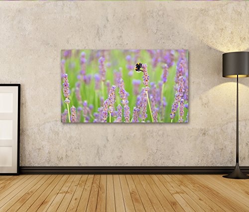 islandburner Bild Bilder auf Leinwand Lavendelblumen und natürliches Detail der Biene mit nettem b Wandbild, Poster, Leinwandbild MHV