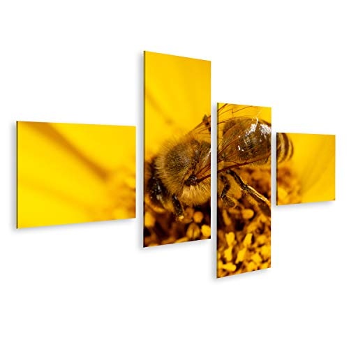Bild Bilder auf Leinwand Die Biene sammelt Honig auf Einer gelben Blume. Makro Wandbild, Poster, Leinwandbild QVM