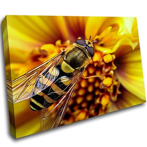 LoveSticker F475 Leinwandbild, Motiv Biene, gelbe Blume, Natur, Rahmen, 16x24inch (40x60cm)