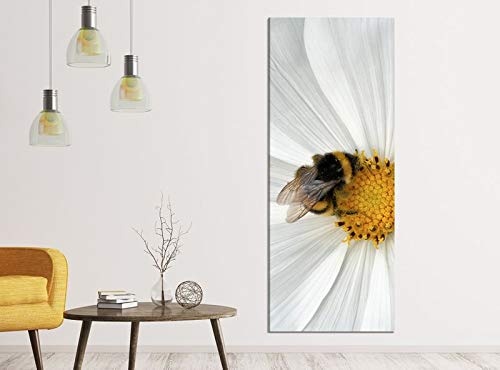 Leinwandbilder 1Tlg 40x100cm Biene Blume weiß...