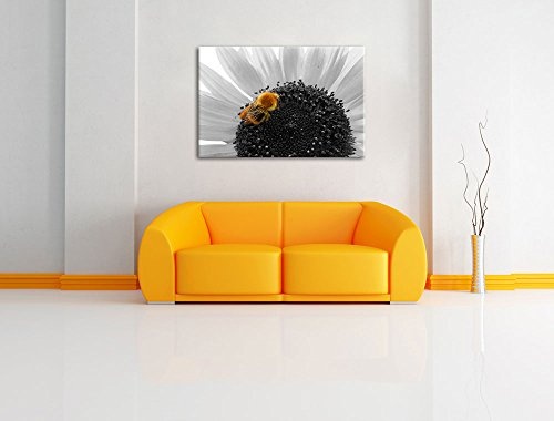 süße Biene auf großer Sonnenblume schwarz/weiß auf Leinwand, XXL riesige Bilder fertig gerahmt mit Keilrahmen, Kunstdruck auf Wandbild mit Rahmen, günstiger als Gemälde oder Ölbild, kein Poster oder Plakat