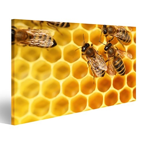 islandburner Bild Bilder auf Leinwand Einige Bienen gehen mit gelben Zellen im Hintergrund Wandbild Leinwandbild Poster DDY