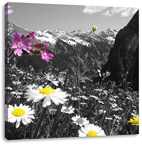 Pixxprint schöne Blumenwiese 40x40cm Leinwandbild Wandbild Kunstdruck