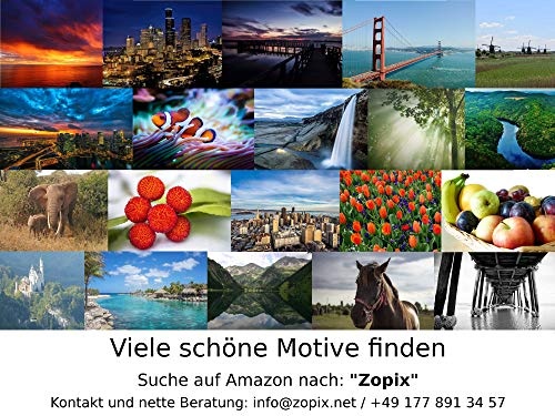 Zopix Premium Poster (XXL) Biene Blüte Blühen Pollen Wandbild - 91x61 cm (versch. Größen) - 190g Premium-Papierdruck - ? Garantierte Top-Qualität