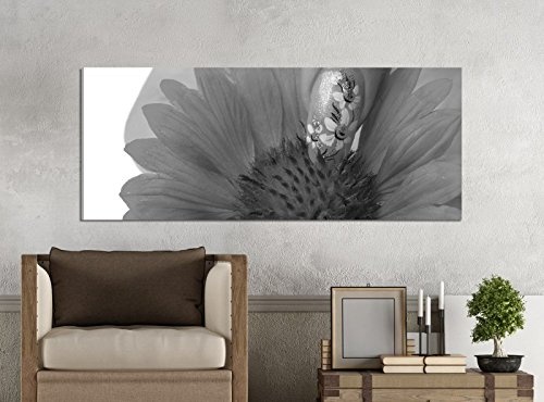 Leinwandbilder 1Tlg 100x40cm schwarz weiß Blume...